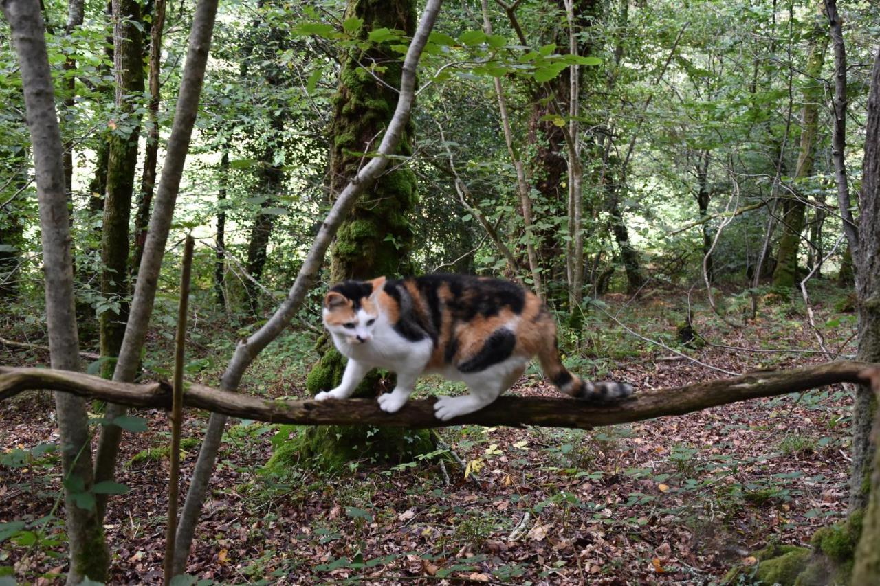 Le Ponthou Keryanti Domaine De Lesleac'Hヴィラ エクステリア 写真
