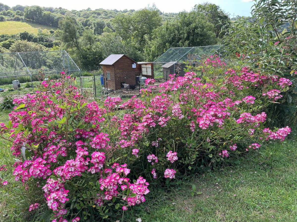 Le Ponthou Keryanti Domaine De Lesleac'Hヴィラ エクステリア 写真